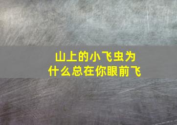 山上的小飞虫为什么总在你眼前飞