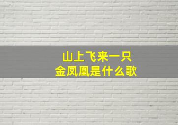 山上飞来一只金凤凰是什么歌