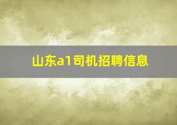 山东a1司机招聘信息