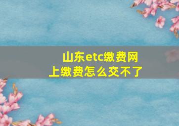 山东etc缴费网上缴费怎么交不了