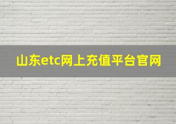 山东etc网上充值平台官网