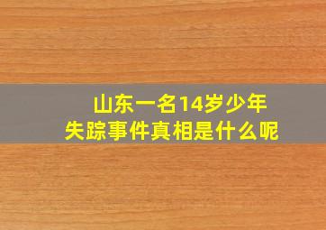 山东一名14岁少年失踪事件真相是什么呢