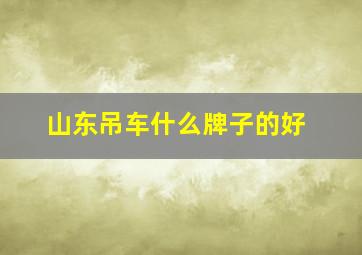 山东吊车什么牌子的好