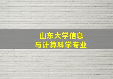 山东大学信息与计算科学专业