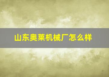 山东奥莱机械厂怎么样