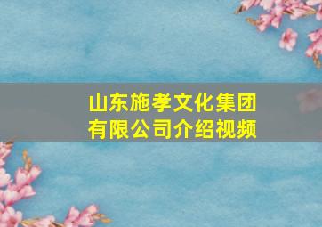 山东施孝文化集团有限公司介绍视频