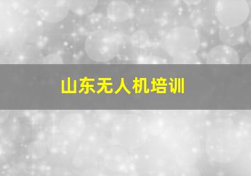 山东无人机培训