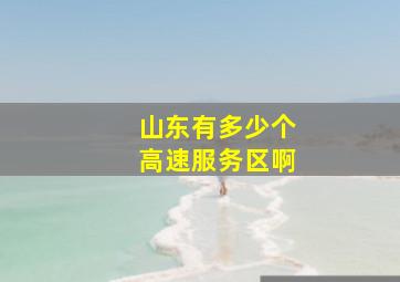 山东有多少个高速服务区啊