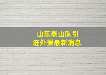 山东泰山队引进外援最新消息