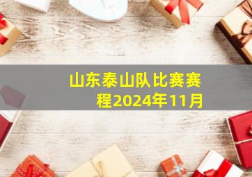 山东泰山队比赛赛程2024年11月