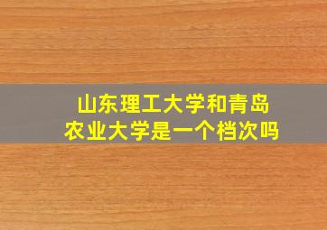 山东理工大学和青岛农业大学是一个档次吗