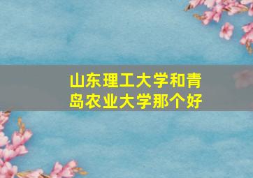 山东理工大学和青岛农业大学那个好