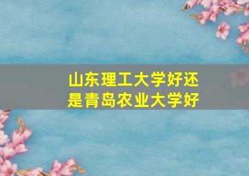 山东理工大学好还是青岛农业大学好