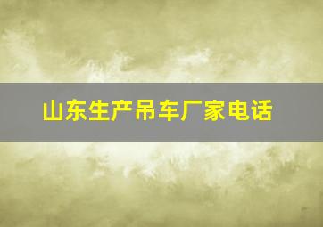 山东生产吊车厂家电话