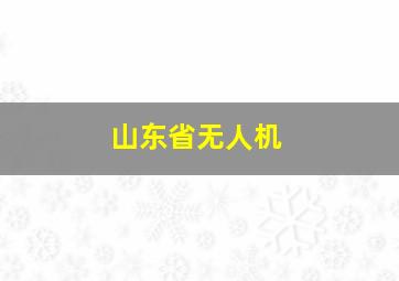 山东省无人机