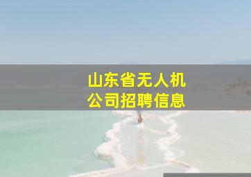 山东省无人机公司招聘信息