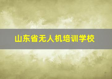 山东省无人机培训学校