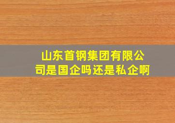 山东首钢集团有限公司是国企吗还是私企啊