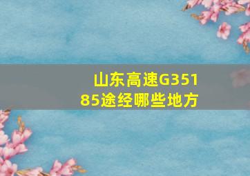 山东高速G35185途经哪些地方