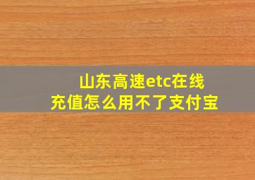 山东高速etc在线充值怎么用不了支付宝