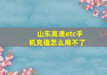 山东高速etc手机充值怎么用不了