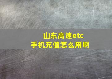 山东高速etc手机充值怎么用啊