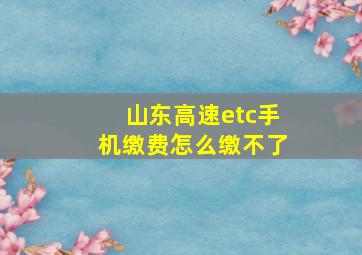 山东高速etc手机缴费怎么缴不了