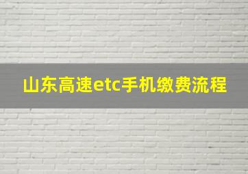 山东高速etc手机缴费流程