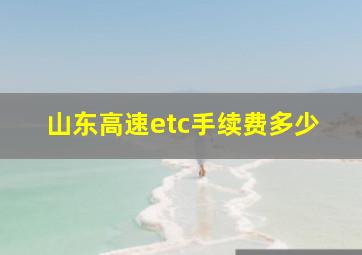 山东高速etc手续费多少