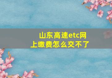 山东高速etc网上缴费怎么交不了