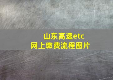 山东高速etc网上缴费流程图片