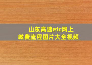 山东高速etc网上缴费流程图片大全视频