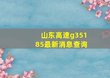 山东高速g35185最新消息查询