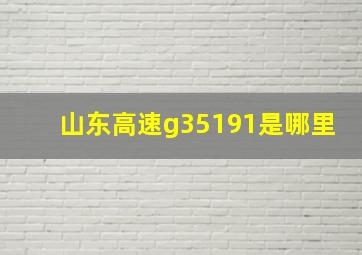 山东高速g35191是哪里