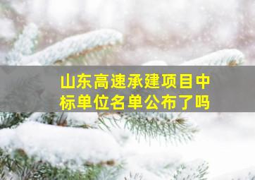 山东高速承建项目中标单位名单公布了吗