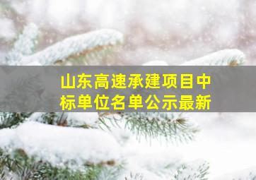 山东高速承建项目中标单位名单公示最新