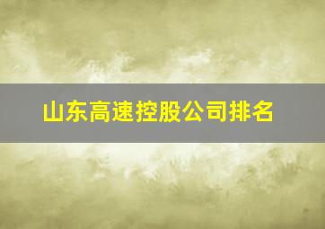 山东高速控股公司排名