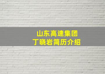 山东高速集团丁晓岩简历介绍