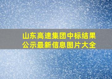 山东高速集团中标结果公示最新信息图片大全