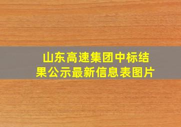 山东高速集团中标结果公示最新信息表图片