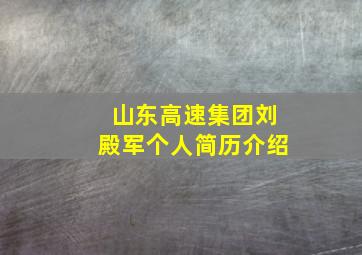 山东高速集团刘殿军个人简历介绍