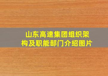 山东高速集团组织架构及职能部门介绍图片