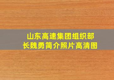 山东高速集团组织部长魏勇简介照片高清图