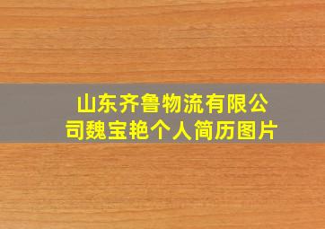 山东齐鲁物流有限公司魏宝艳个人简历图片