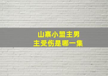 山寨小盟主男主受伤是哪一集