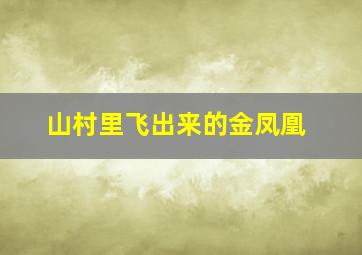 山村里飞出来的金凤凰