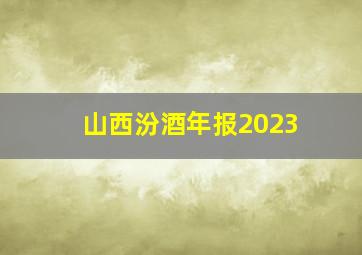 山西汾酒年报2023