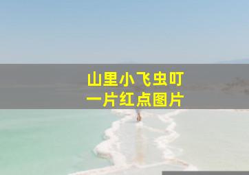 山里小飞虫叮一片红点图片