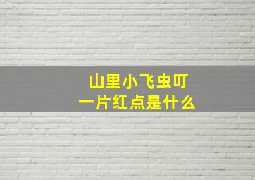 山里小飞虫叮一片红点是什么