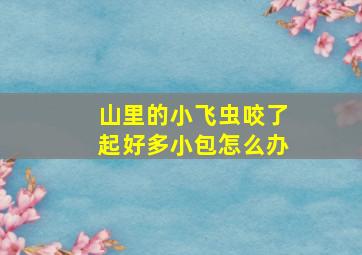 山里的小飞虫咬了起好多小包怎么办